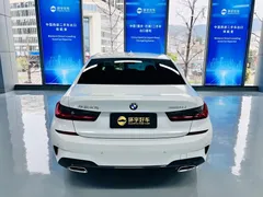 2022 BMW 3 Series 320Li M Sport Package, белый — фото 8