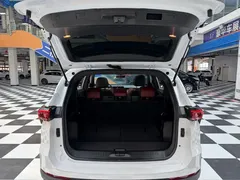 2021 Jetour X70 PLUS 1.5T DCT Shan PRO 7-seat, белый — фото 16