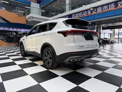 2021 Jetour X70 PLUS 1.5T DCT Shan PRO 7-seat, белый — фото 17