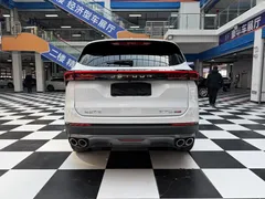 2021 Jetour X70 PLUS 1.5T DCT Shan PRO 7-seat, белый — фото 18