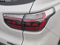 2019 Kia Zhipao 2.0L AT Zhixiang Luxury, белый — фото 16