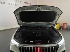 2022 Hongqi HS5 2.0T — фото 19