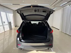 2022 Geely CX-5 2.0L AT 2WD smart model — фото 19