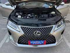 2020 Lexus RX 300 2WD Elite — фото 6