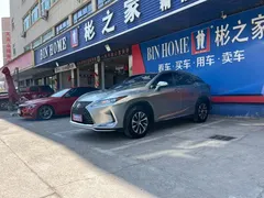 2020 Lexus RX 300 2WD Elite — фото 17