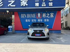 2020 Lexus RX 300 2WD Elite — фото 18