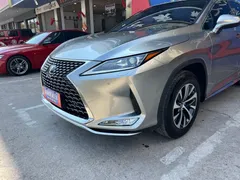 2020 Lexus RX 300 2WD Elite — фото 19