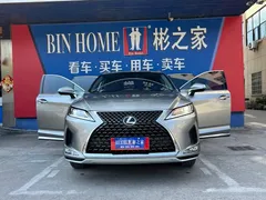2020 Lexus RX 300 2WD Elite — фото 21