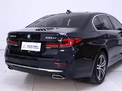 2021 BMW 5 Series 530Li Leading Luxury Package, чёрный — фото 8