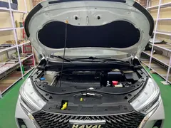 2021 Haval M6 Plus 1.5T DCT Luxury, белый — фото 23