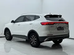 2021 Haval H6 1.5T AT City, белый — фото 15