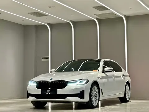 2021 BMW 5 Series 530Li