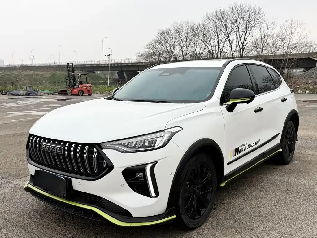 2021 Haval Chitu 1.5T Jiqing Platinum Rabbit