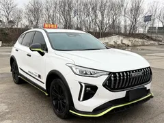 2021 Haval Chitu 1.5T Jiqing Platinum Rabbit, белый — фото 3