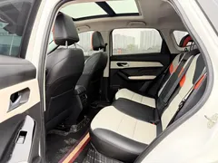 2021 Haval Chitu 1.5T Jiqing Platinum Rabbit, белый — фото 9
