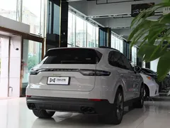 2022 Porsche Cayenne E-Hybrid 2.0T Platinum — фото 15