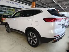 2023 Haval H6 1.5T AT Guochao Champion, белый — фото 6
