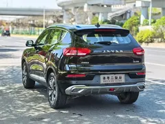 2020 Haval H6 1.5GDIT AT Platinum Champion, чёрный — фото 9