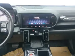 2021 Haval Havaldog 1.5T DCT 2WD Border Collie, чёрный — фото 9