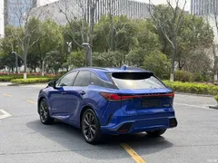 2023 Lexus RX 500h 4WD F SPORT Performance, синий — фото 15
