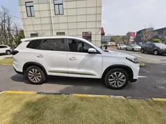 2020 Chery Tiggo 8 290TGDI AT Luxury, белый — фото 4