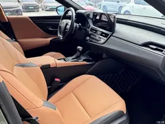 2023 Lexus ES 200 Excellence, зелёный — фото 12
