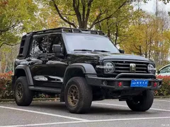 2021 Tank 300 Off-Road 2.0T Conqueror, чёрный — фото 3