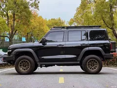 2021 Tank 300 Off-Road 2.0T Conqueror, чёрный — фото 8