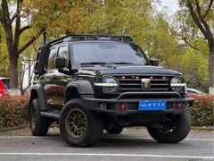 2021 Tank 300 Off-Road 2.0T Conqueror, чёрный — фото 9