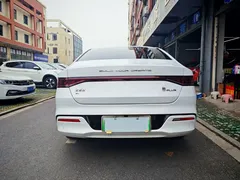 2024 BYD Qin PLUS Honor EV 510km, белый — фото 7