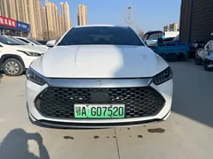2024 BYD Qin PLUS 55KM, белый — фото 2