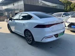 2024 BYD Qin PLUS 55KM, белый — фото 6