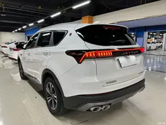 2021 Jetour Jietu X70 PLUS 1.6T DCT star 5 seats, белый — фото 8