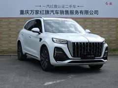 2023 Hongqi HS5 2.0T 4WD Pro, белый — фото 31