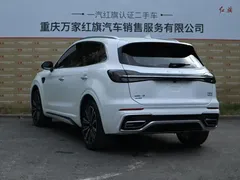 2023 Hongqi HS5 2.0T 4WD Pro, белый — фото 32