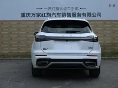 2023 Hongqi HS5 2.0T 4WD Pro, белый — фото 34