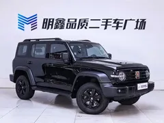 2021 Tank 300 Off-Road 2.0T Conqueror, чёрный — фото 5
