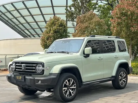 2021 Tank 300 City 2.0T Very Stylish