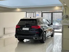 2022 BMW X5 30Li Premium M Sport Package, чёрный — фото 6