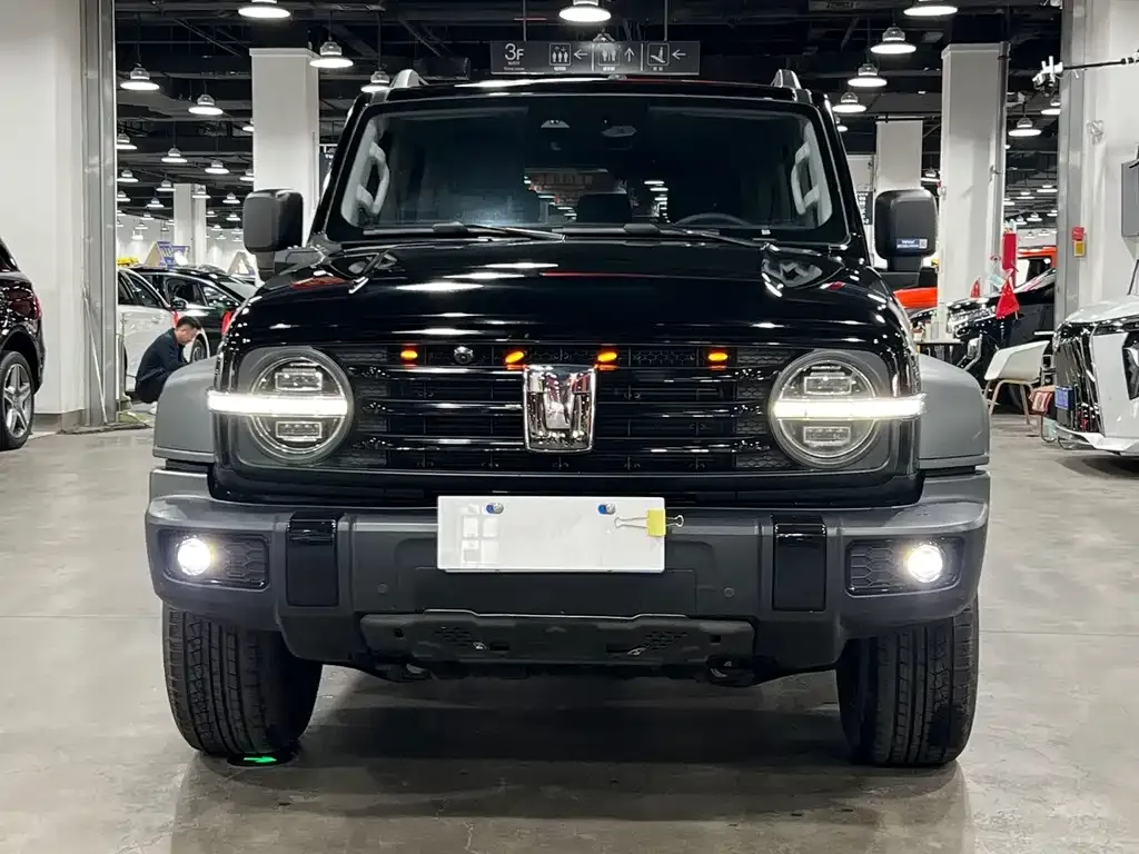 2021 Tank 300 2.0T