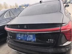 2025 Hongqi H5 2.0T AT, чёрный — фото 10