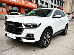 2023 Haval H6 1.5T AT Guochao Champion, белый — фото 1