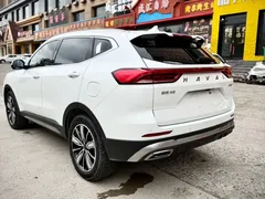 2023 Haval H6 1.5T AT Guochao Champion, белый — фото 4