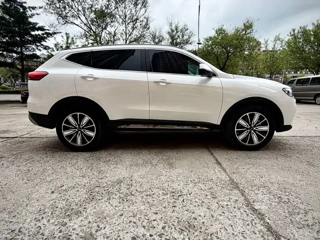 2023 Haval H6 1.5T AT Guochao Champion