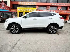 2023 Haval H6 1.5T AT Guochao Champion, белый — фото 8