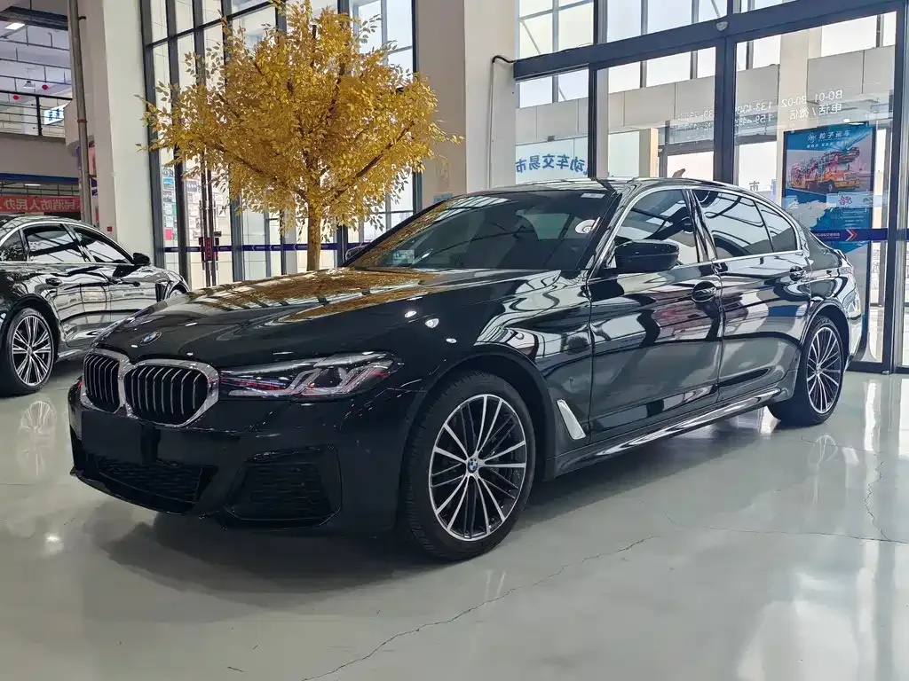 2021 BMW 5 Series 530Li xDrive M