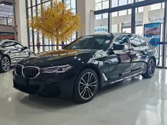 2021 BMW 5 Series 530Li xDrive M, чёрный — фото 1