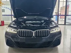 2021 BMW 5 Series 530Li xDrive M, чёрный — фото 18