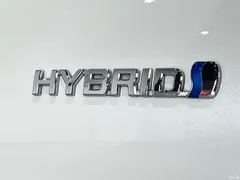 2021 Toyota Alphard Hybrid 2.5L Luxury — фото 10