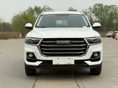 2021 Haval H6 Guochao 1.5T AT Urban, белый — фото 2